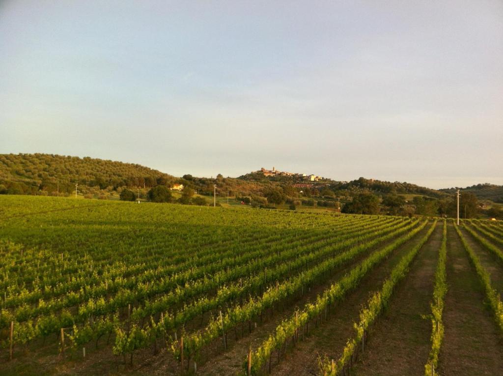 Villa Acquaviva Wine Resort Montemerano Exteriér fotografie